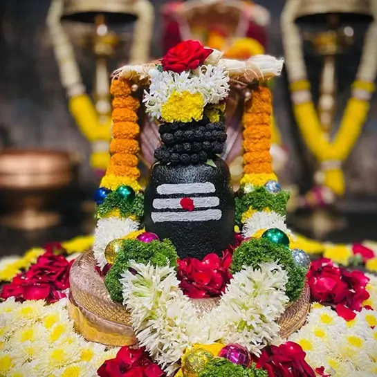 Rudrabhishek with Samputa